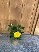 浄楽寺のその他建物