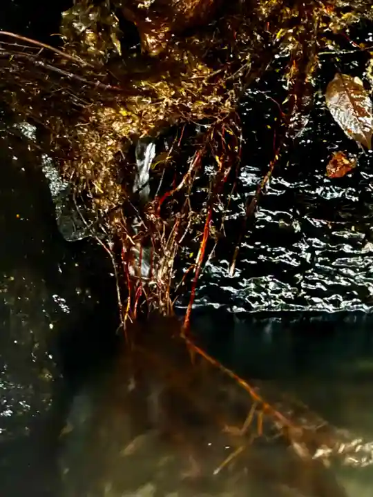 天岩戸神社(宮崎県)