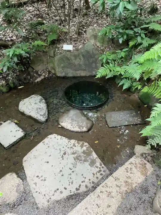 明治神宮(東京都)