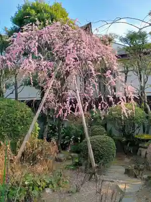本妙院(東京都)