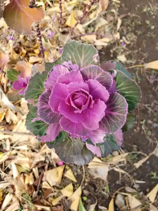 成子天神社(東京都)