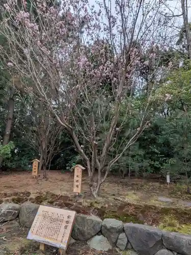 寒川神社(神奈川県)