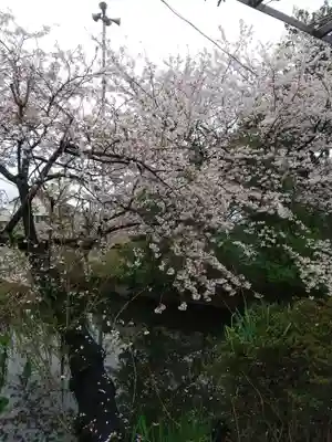 鷲神社(埼玉県)