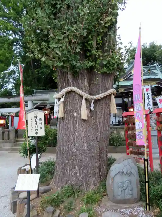 川越八幡宮の自然