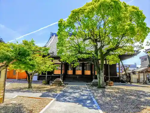 浄賢寺の本殿・本堂