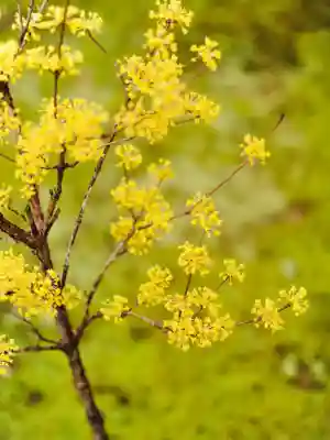 浄土寺(兵庫県)
