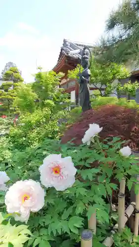 少林寺(埼玉県)