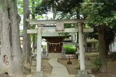 丸子山王日枝神社(神奈川県)