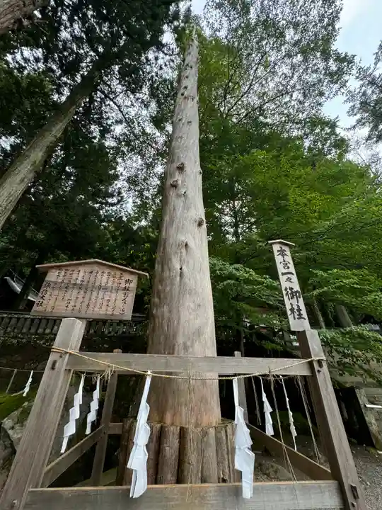 諏訪大社(長野県)