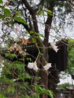 妙法寺(東京都)