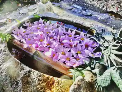 立志神社の手水舎