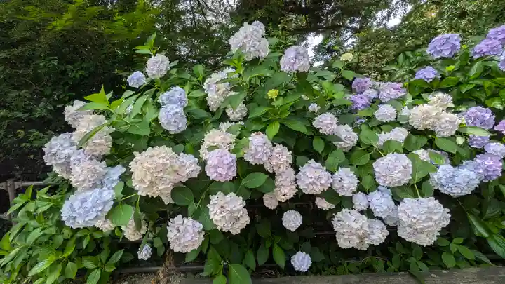 中山寺奥之院(兵庫県)