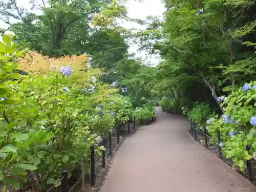 本土寺の景色