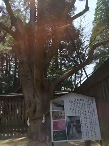 天岩戸神社(宮崎県)