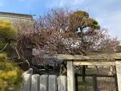 曽根天満宮の建物その他