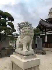 荒井神社の狛犬