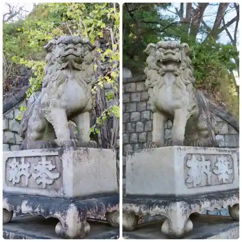 品川神社の狛犬