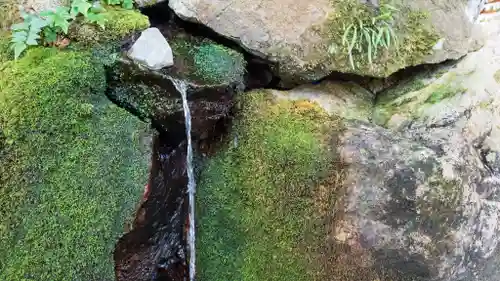 眞名井神社（籠神社奥宮）(京都府)