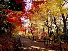 本土寺(千葉県)