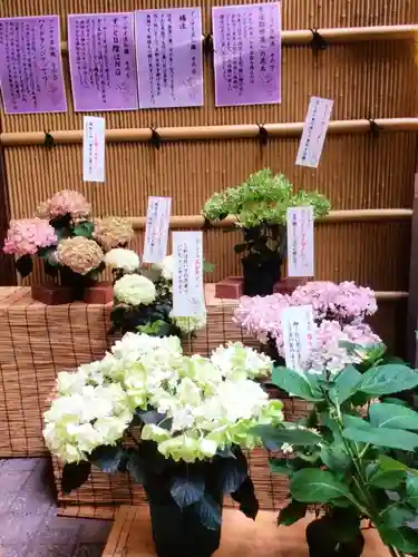 十番稲荷神社(東京都)