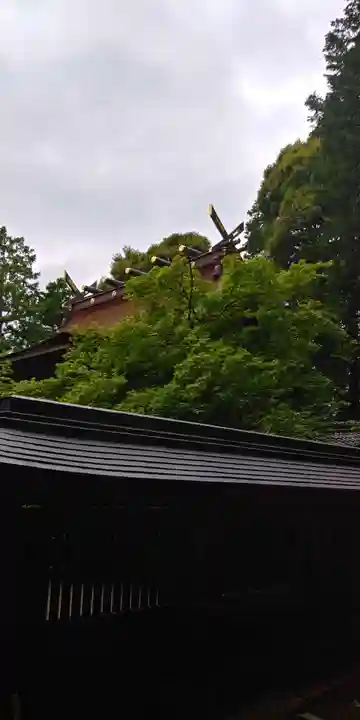 胡宮神社(敏満寺史跡)の本殿・本堂