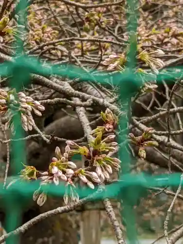 大原野神社(京都府)