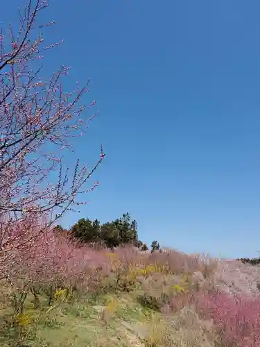 日枝神社(福島県)
