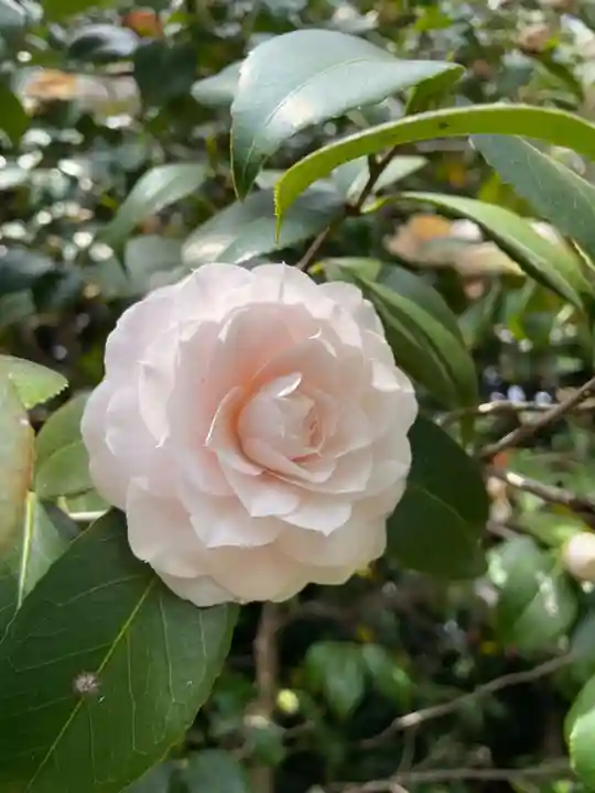 城南宮(京都府)