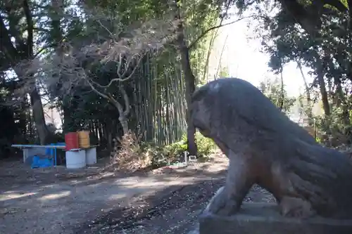 須賀神社の狛犬