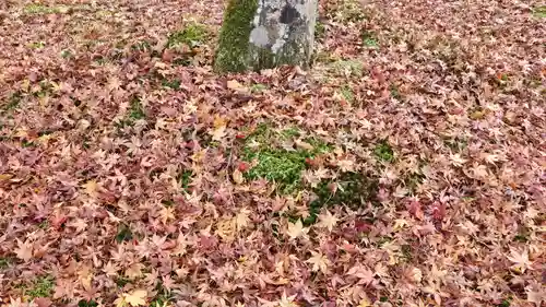 三千院門跡(京都府)