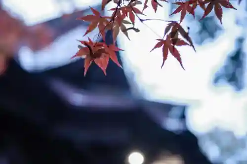 蚊里田八幡宮(長野県)