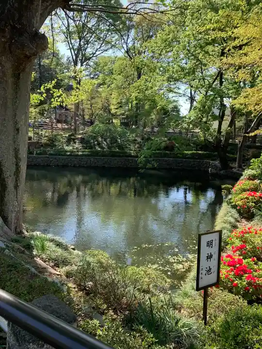瀧宮神社(埼玉県)