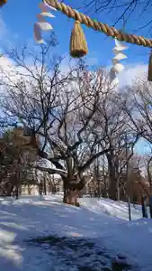 相馬神社(北海道)(2025年01月26日(日) 14時49分59秒投稿)