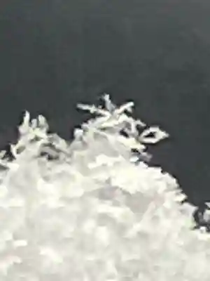 白山神社(岐阜県)