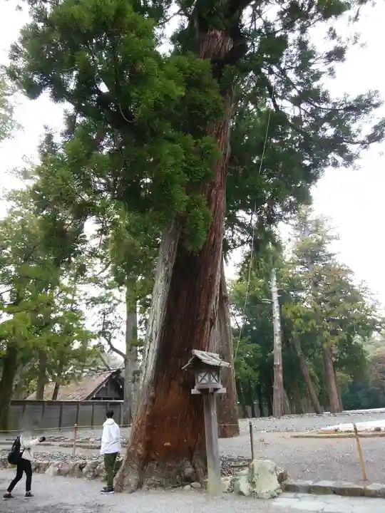 伊勢神宮外宮(豊受大神宮)(三重県)