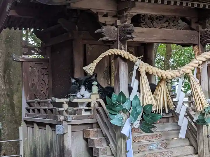 八幡社(柏井町)の動物