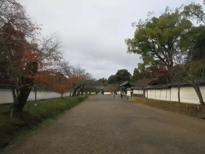 醍醐寺(上醍醐)(京都府)