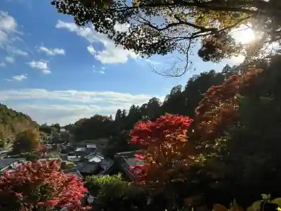 柳谷観音　楊谷寺(京都府)