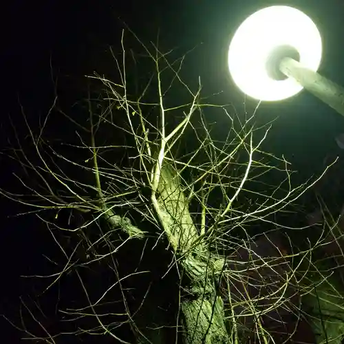 須賀神社の自然