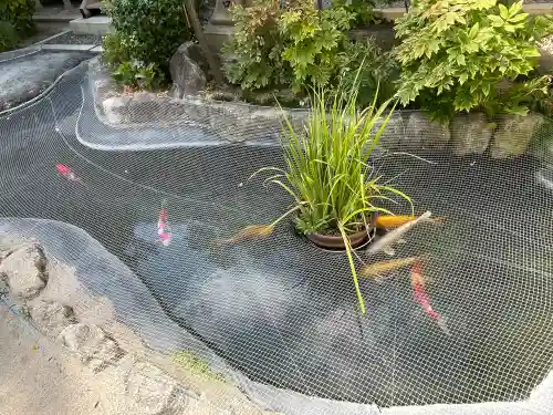 櫛田神社の{uncategorized: "未分類", other: "その他", undefined: "問題あり", building: "その他建物", grave: "お墓", sacred_gate: "鳥居", guardian: "狛犬", statue: "像", buddha: "仏像", history: "歴史", nature: "自然", garden: "庭園", animal: "動物", pagoda: "塔", temizu: "手水舎", mountain_gate: "山門・神門", sanctuary: "本殿・本堂", subordinate: "末社・摂社", art: "芸術", scenery: "景色", jizo: "地蔵", ema: "絵馬", goshuin: "御朱印", omikuji: "おみくじ", items: "授与品その他", amulet: "お守り", goshuincho: "御朱印帳", eats: "食事", festival: "お祭り", votive_dance: "神楽", shichigosan: "七五三参", wedding: "結婚式", experience: "体験その他", initially: "初詣", around: "周辺", anti_infection: "感染症対策"}