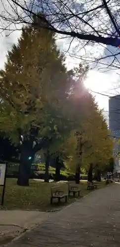 伏見三寳稲荷神社の周辺