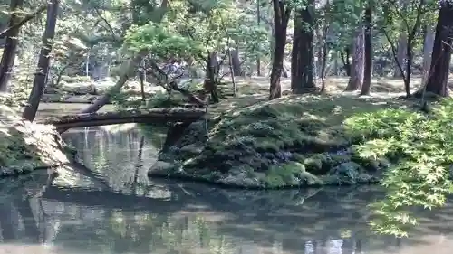 西芳寺の庭園