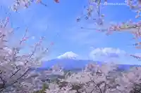 新倉富士浅間神社(山梨県)