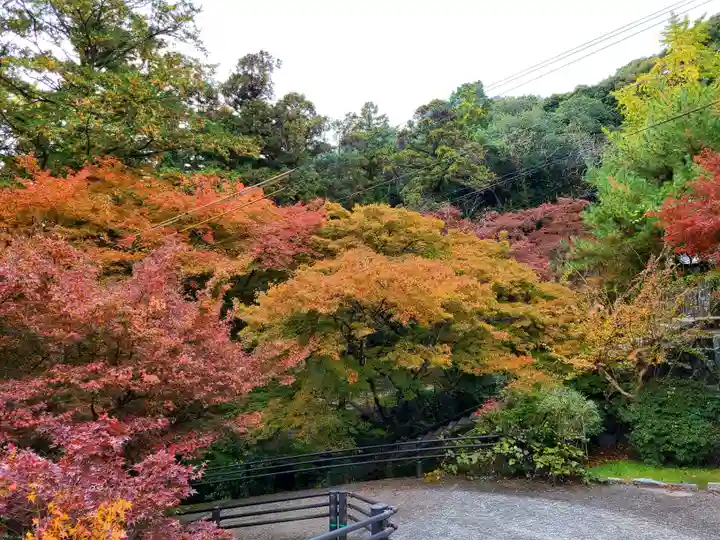 萬寿寺(お不動さん)の自然