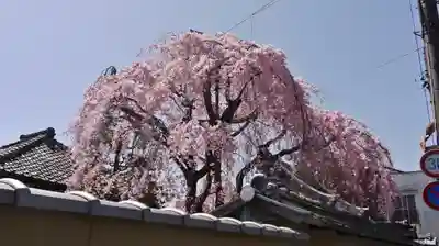 成願寺のその他建物