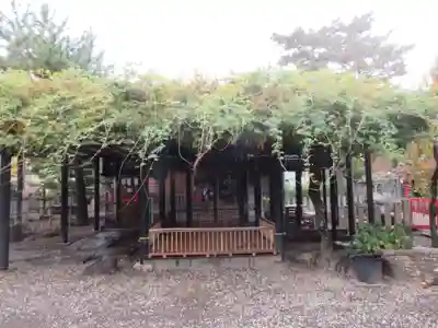 葛井寺(大阪府)