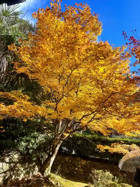安楽寺(京都府)