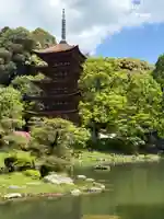 瑠璃光寺(山口県)