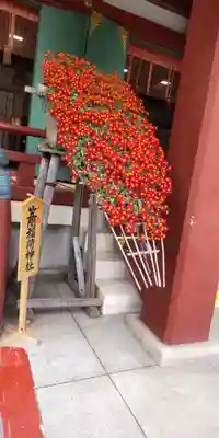 亀戸天神社(東京都)