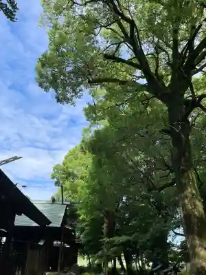 鞆江神社(明地)(愛知県)